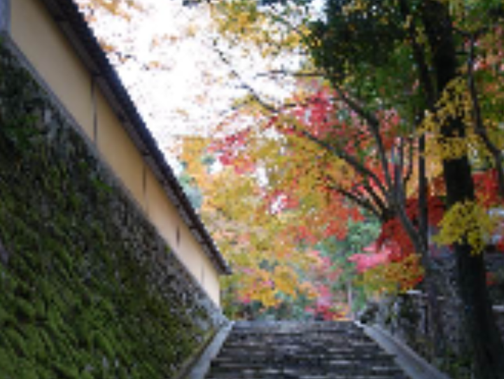 甲良町
