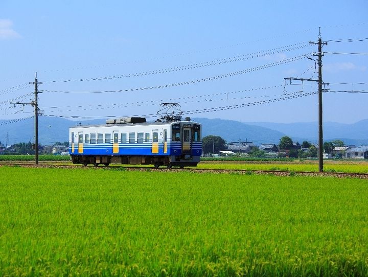 福井県全体