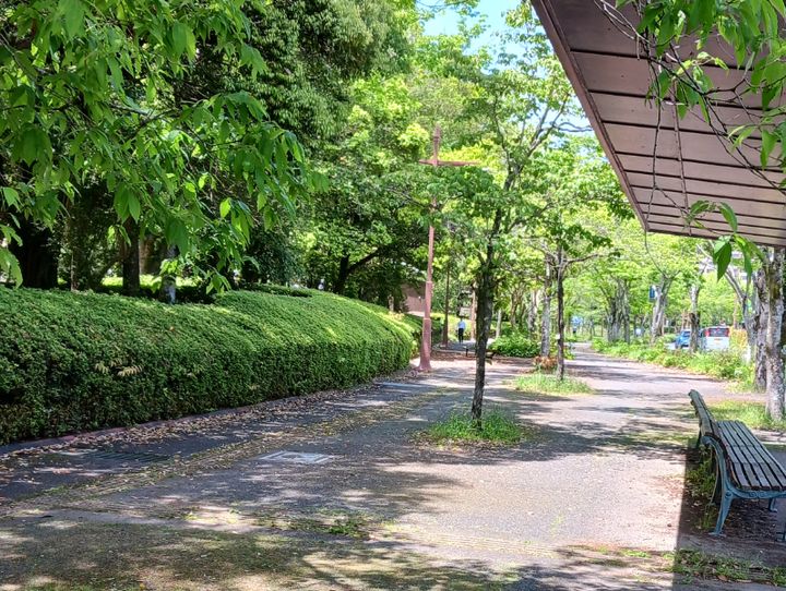 山口県全体