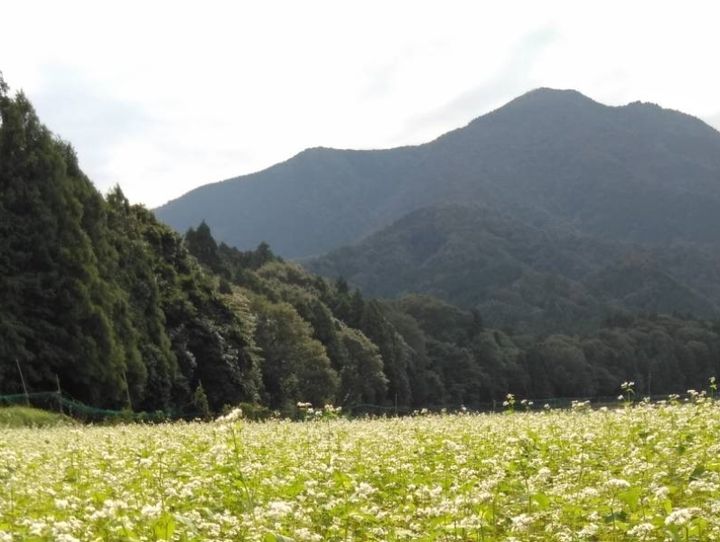 大垣市