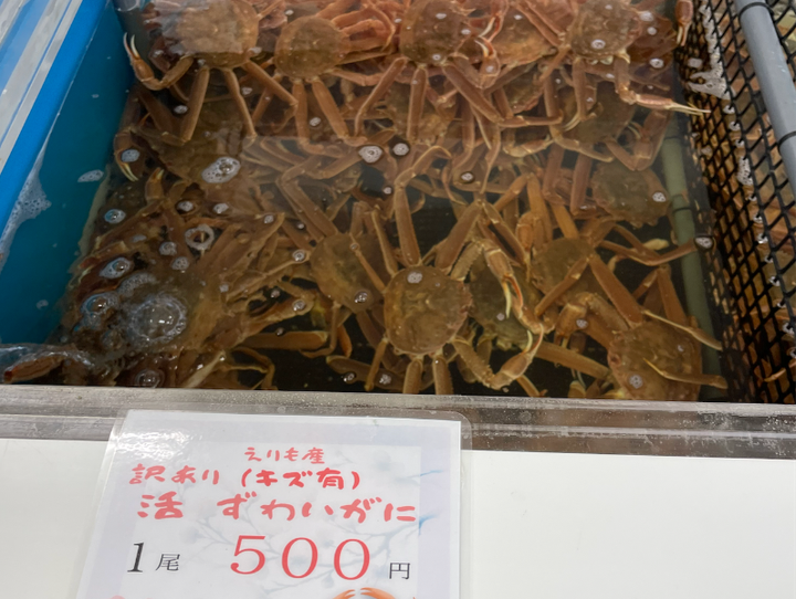 えりも町