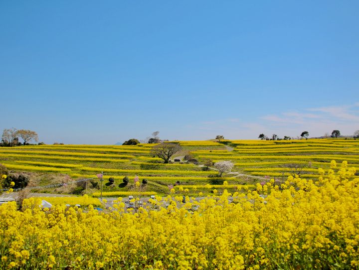 豊後高田市