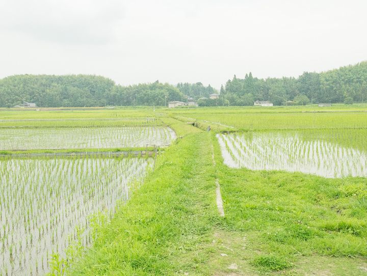 田布施町