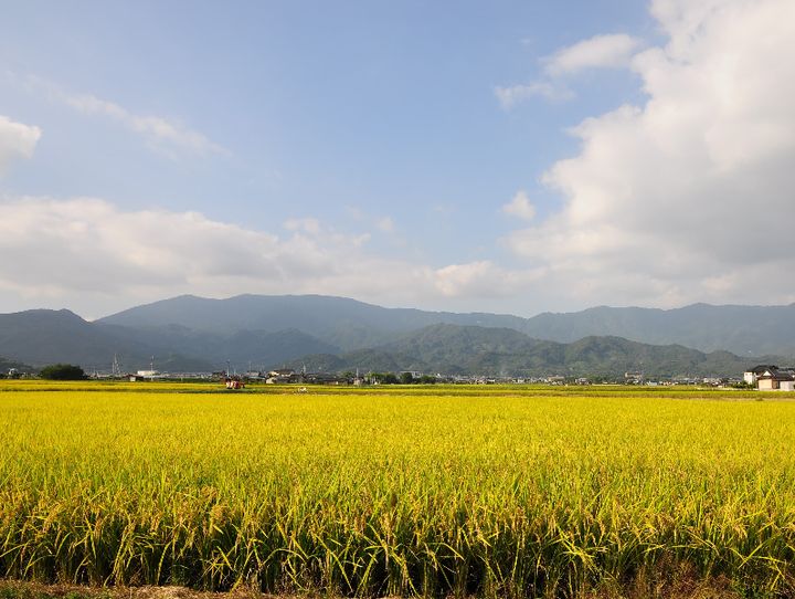 佐賀県全体
