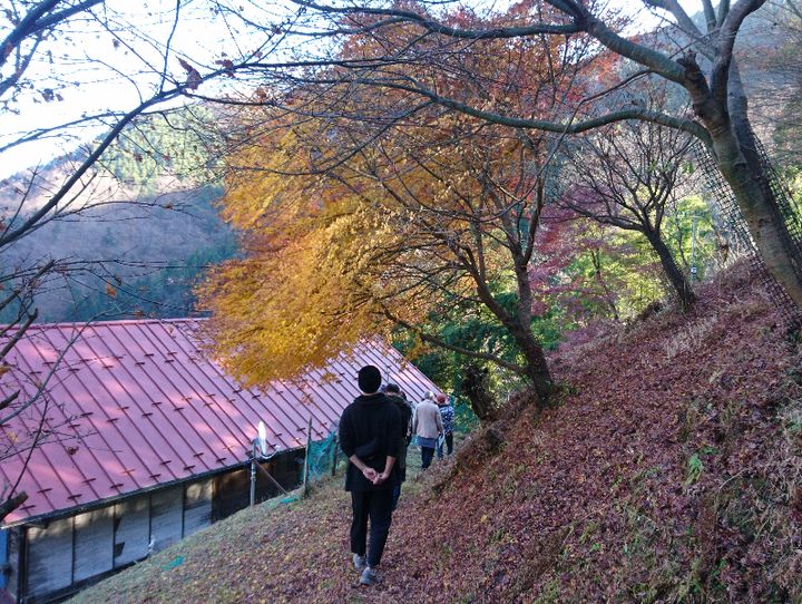檜原村
