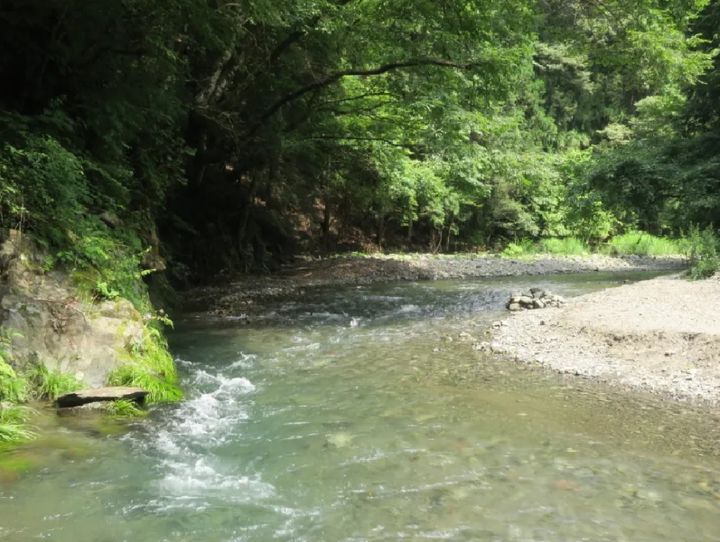 檜原村