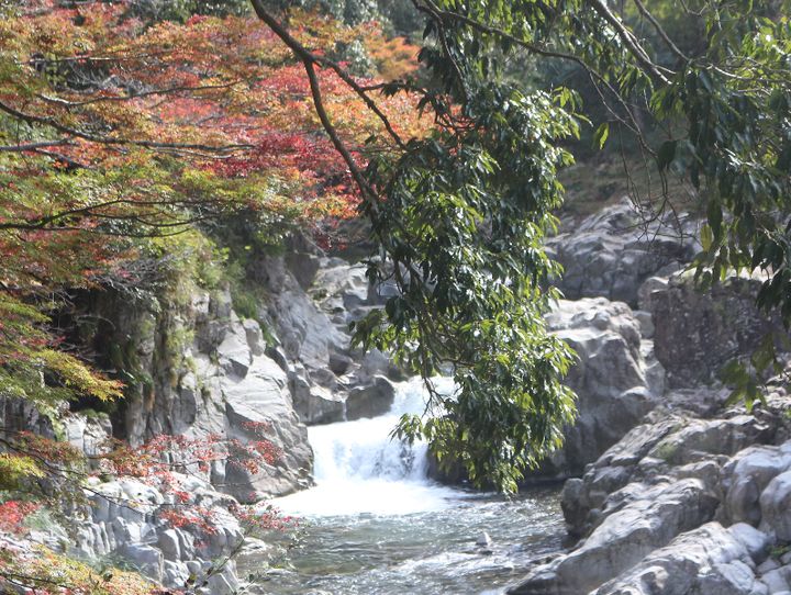多賀町