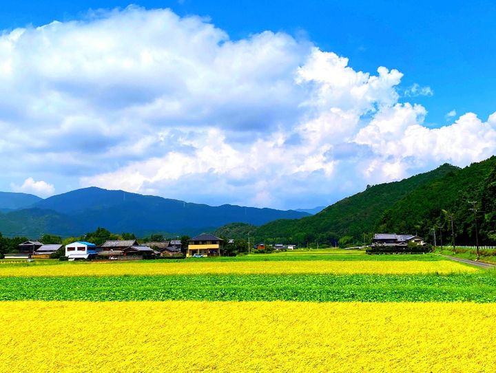 多気町
