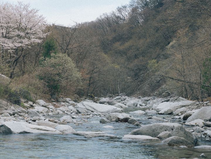 北杜市