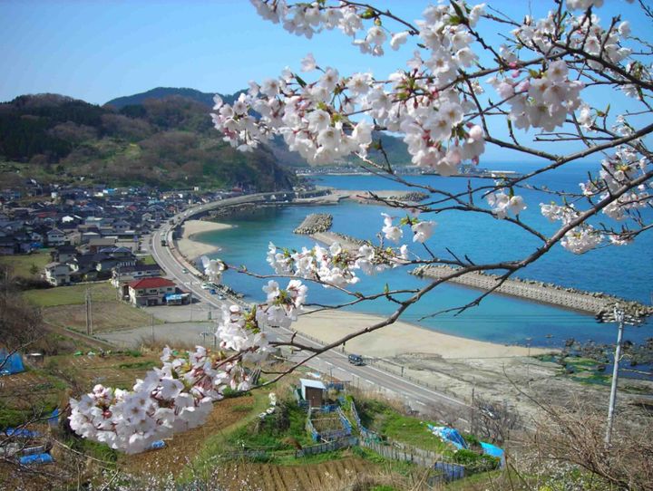 鶴岡市