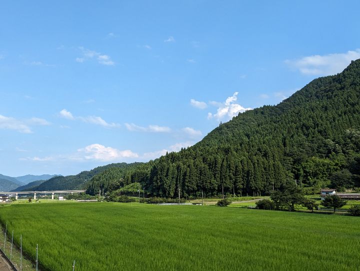 養父市