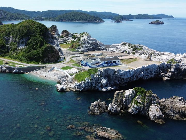 由良町