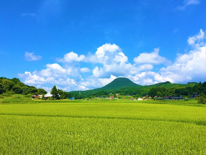 新見市