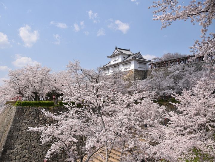 津山市