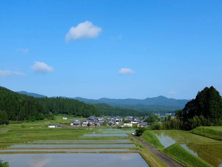 越前市