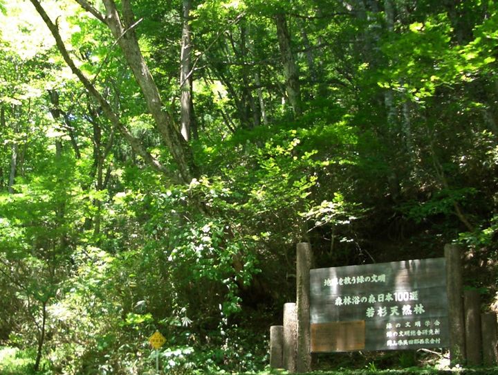 西粟倉村