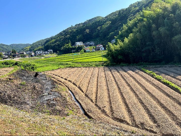島根県全体