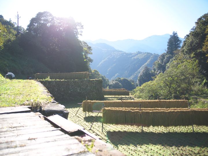 椎葉村