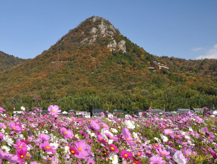 東近江市