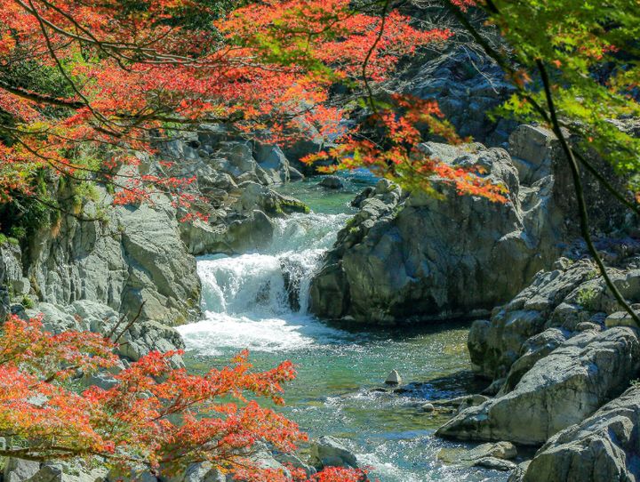 多賀町