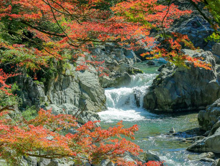 多賀町