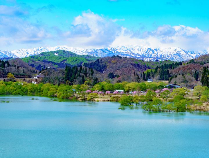山形県全体