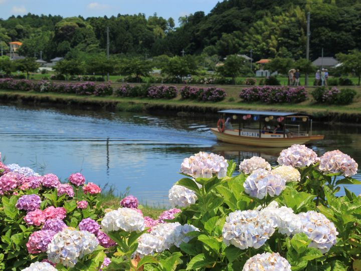多古町