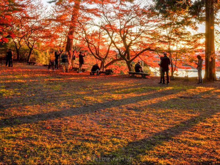 多賀町