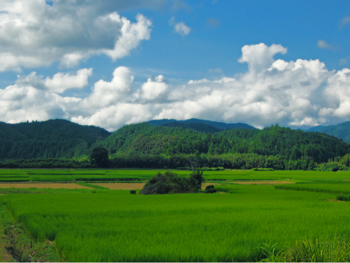 佐川町