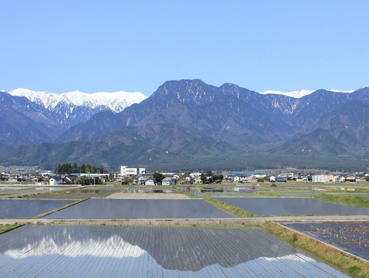 池田町