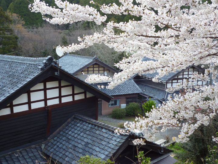 福井市