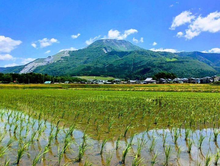 米原市