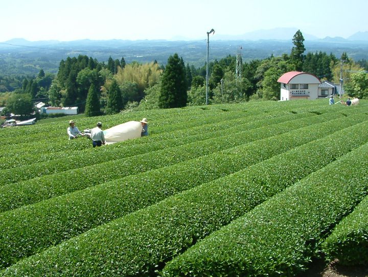 五ヶ瀬町