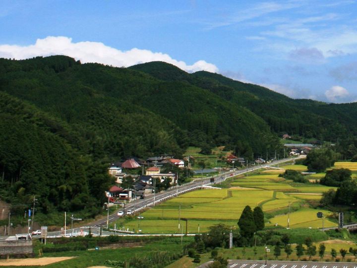 佐賀市