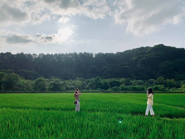 八雲町