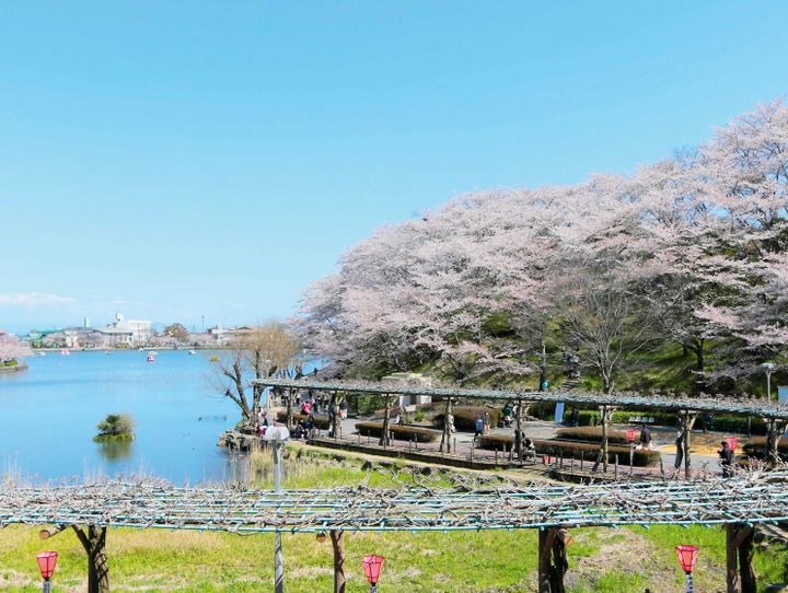 藤枝市