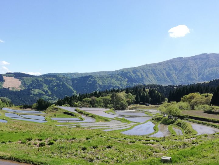 養父市