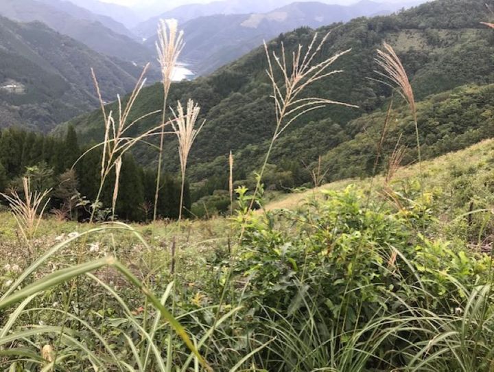 宮崎県全体