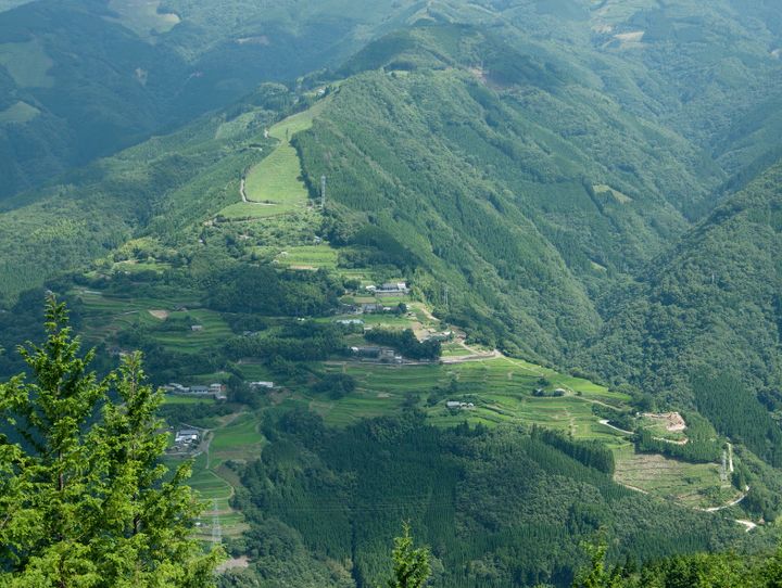 椎葉村