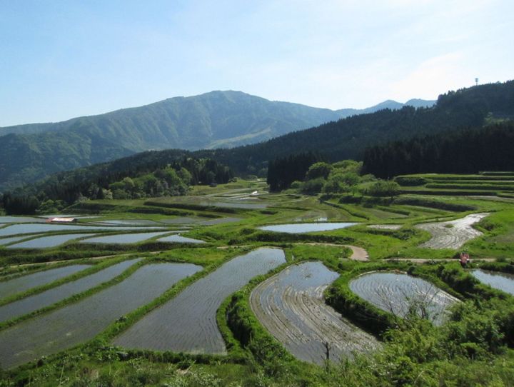 養父市