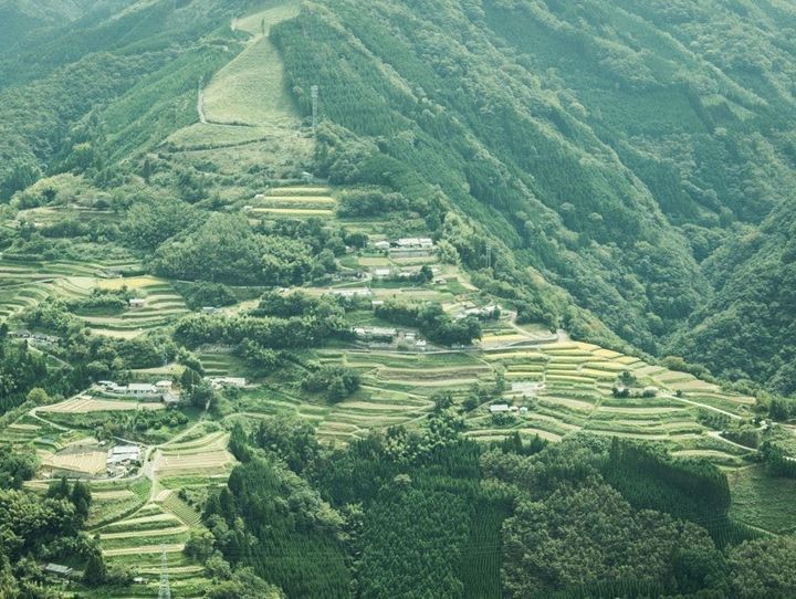 椎葉村