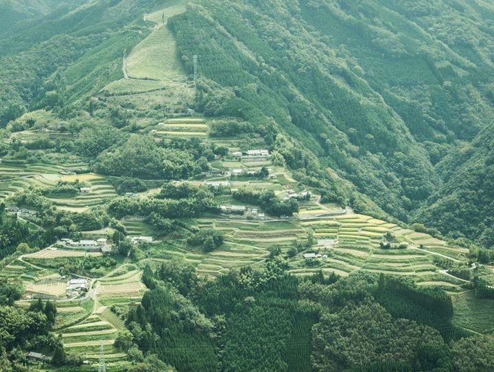 椎葉村