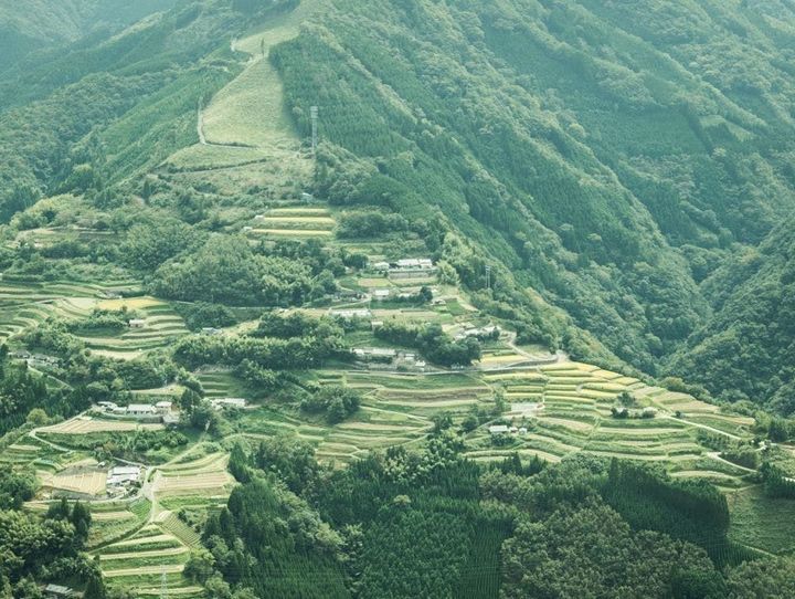 椎葉村