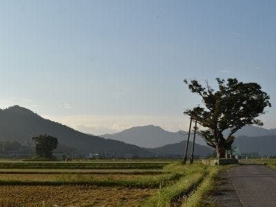 多賀町