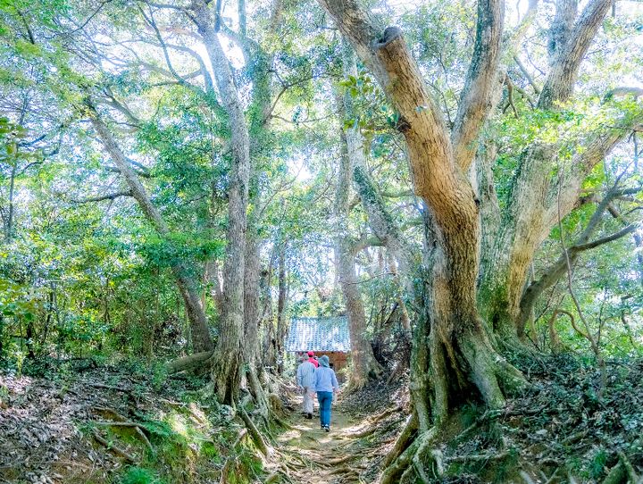 鹿嶋市