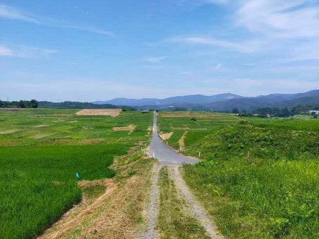 花巻市