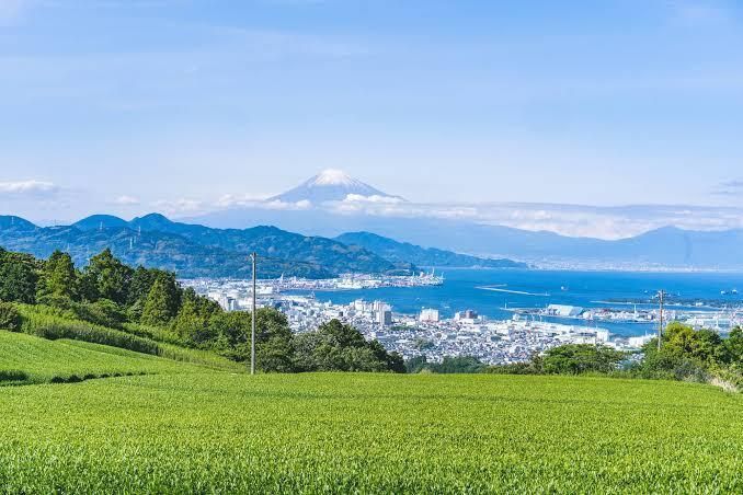 静岡市