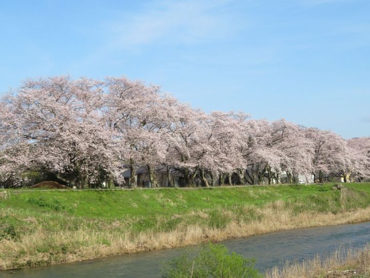 石川県全体