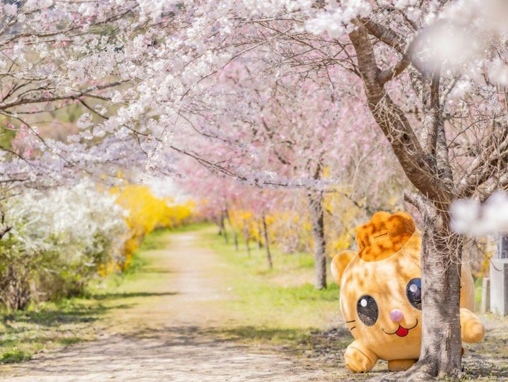 安芸太田町