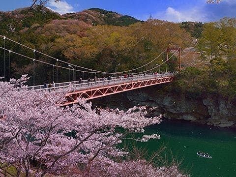 愛知県全体
